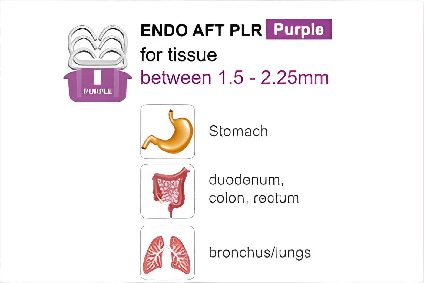 endo aft purpul