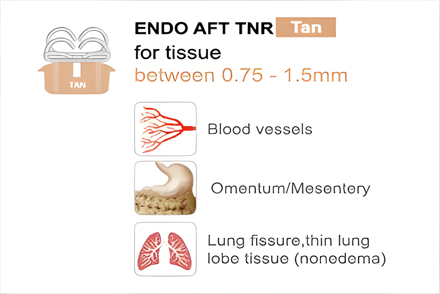 endo aft tnr tan